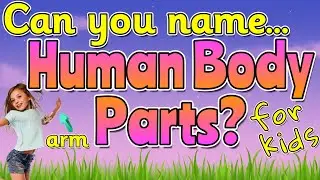 NAMING PARTS OF THE BODY for kids | Learn Body parts  | Basic Parts of Body by Miss Ellis