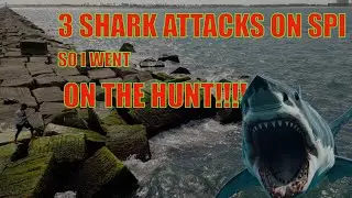 3 Texas Shark Attacks in SOUTH PADRE ISLAND, SO I WENT TO GO FISH!