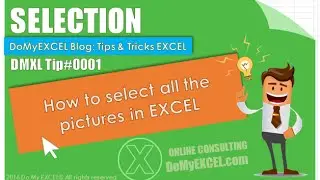 DMXL TIP#0001: How to select all the pictures in EXCEL