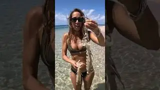 CRAZY CREATURE Catch & Cook 5⭐️