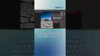 AI di Dunia Fotografi, Ancaman atau Untung?