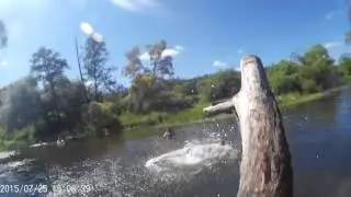 Отдых на природе