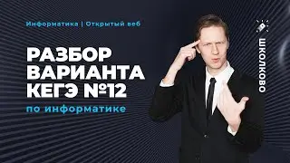 Открытый разбор варианта - 12 | Информатика с АР