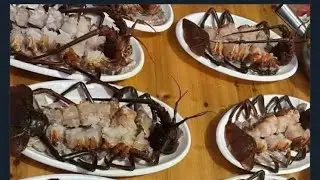 Im DONE Eating Lobster Too🤢🦞