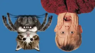 oıиvɐdɯɔʚɐ ʚ vɐхǝǝdǝu