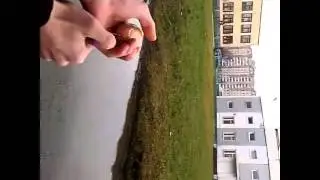 Яйцо + петарда=ахтунг2000 хааххаа
