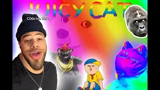 COOchie Man MEME COMPILATION