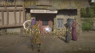 Hogwarts Legacy Gameplay - Part 16 | Hufflepuff | No Commentary | 4K