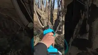 SWANSOFT 35MM Electric Pruning Shears【SW-8608】