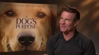 A Dog's Purpose – Dennis Quaid Interview