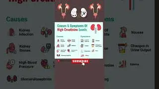 Causes and Symptoms of High Creatinine Levels |Creatinine Test |Blood Test |Kidney Function Test