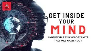 The Psychology of You Surprising Facts About Human Behavior.