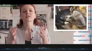 Как ЦБ России Ротенбергов штрафовал