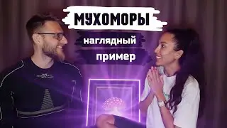 МУХОМОРЫ / Пробуждение ( второе рождение )