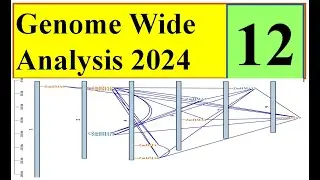Gene Location on chromosome Genome wide study 2024 Part 12