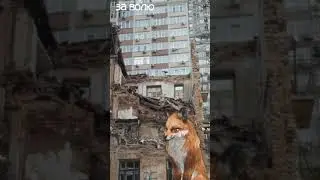 а веть фото на фоне мое( я украинка кстати СЛАВА УКРАЇНІ!! #вайлдкрафт #играем