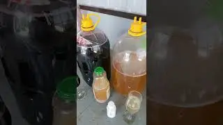 Применение пиросульфита калия в домашнем виноделии.