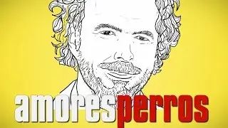 AMORES PERROS: The Effect of Wide Angles & Short Focal Lengths