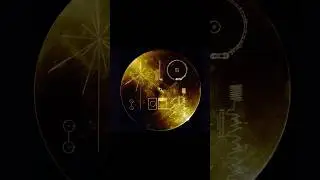 Космические золотые пластины, что это? #shortvideo