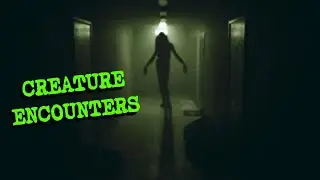 2 Creepy CREATURE ENCOUNTER Stories (#12)