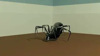 Spider Animation First Iteration