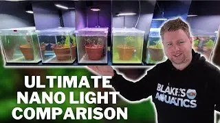 Which Nano Light Should you Buy? The Ultimate Aquarium Light Comparison