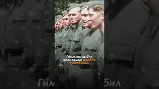 Почему Вермахт ненавидел СС? 