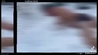 Полтава Палий