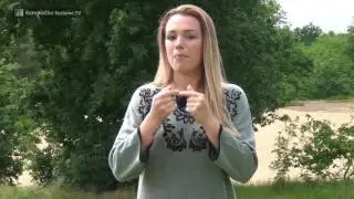 Lisa van Rossem