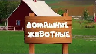 ДОМАШНИЕ ЖИВОТНЫЕ для детей - развивающие мультики учим животных