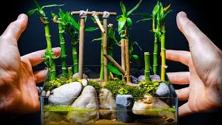 Micro Zen Water Garden and Moving Bamboo Fountain (DIY Shishi-Odoshi Landscape)