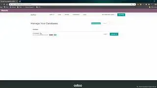 How to duplicate your Odoo database and more!
