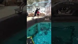 Carribean Bay Diving In Slow Motion