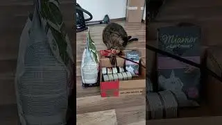 Сэмыч получил подарки