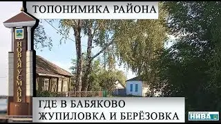 Где в Бабяково: Жупиловка, Берёзовка и Сметаны