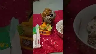 Mango Bars for maddog #ASMR #satisfying sounds #viral dog #shorts (4)