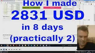 How I made 2831 USD in 8 days (practically in 2 days)