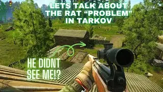 Lets talk about the Rat 