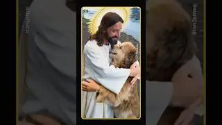 Пёс - лучший друг не только человека