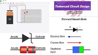 Tinkercad Circuit Design using Diodes I Zener Diode I Forward & Reverse Biasing