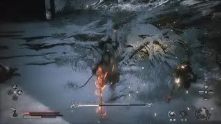 Black Myth: Wukong - Erlang battle