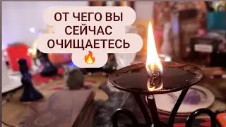 ОТ ЧЕГО ВЫ СЕЙЧАС ОЧИЩАЕТЕСЬ 🔥 Онлайн таро расклад