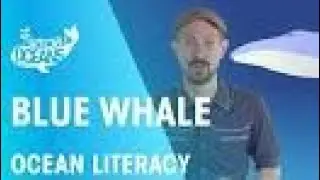 Blue_whale___Ocean_Literacy___FuseSchool(0).mp4