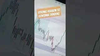 A Day in the Life of a FOREX TRADER #forex #fypage #trending