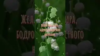 #май