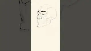Portrait drawing using  skull structure
