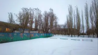 Грачи прилетели в Питерку!