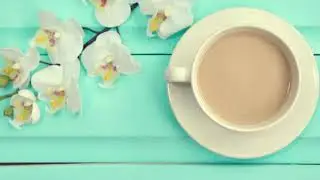 The Morning of My Life ... Kacey Cisyk
