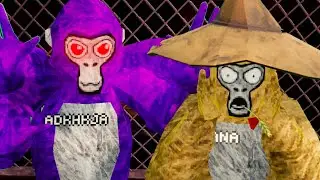 Gorilla Tag SECURITY BREACH...