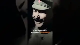 What happened to the guard who reprimanded Stalin? 